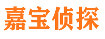 察布查尔市侦探公司